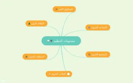 مستويات التنظيم في المخلوقات الحية