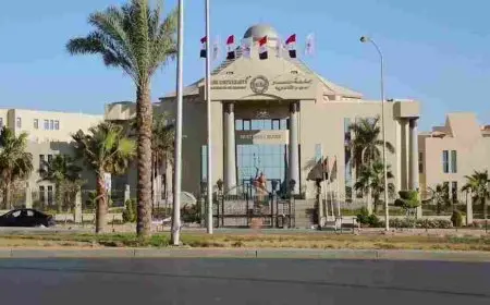 مصاريف جامعة مصر للعلوم والتكنولوجيا 2024