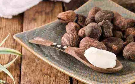 فوائد زبدة الشيا للشعر