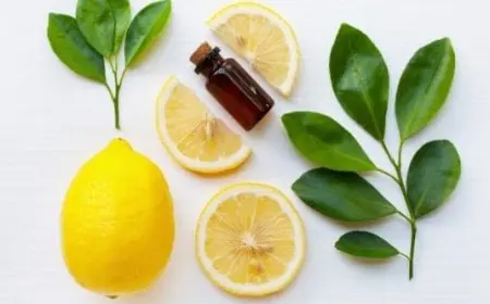 فوائد زيت الليمون للبشرة والشعر والشفايف