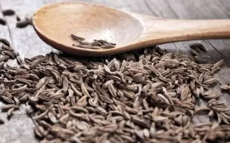 فوائد الكراوية للتخسيس