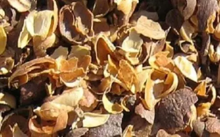 فوائد قشر القهوة للتنحيف