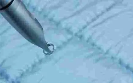 أسباب وجود شعر داخل المهبل