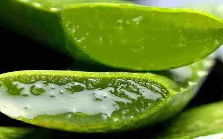 أقوى ماسك لشد الوجه