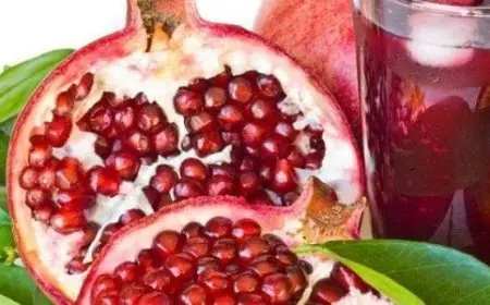 شرب قشر الرمان قبل النوم