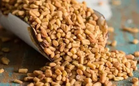 فوائد شرب الحلبة لتبيض البشرة