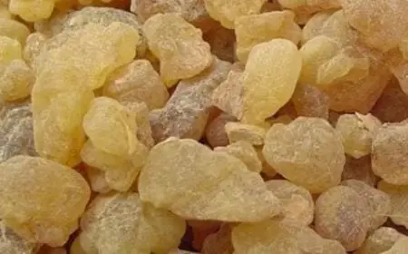 طريقة استخدام لبان الذكر للتنحيف في أسبوع