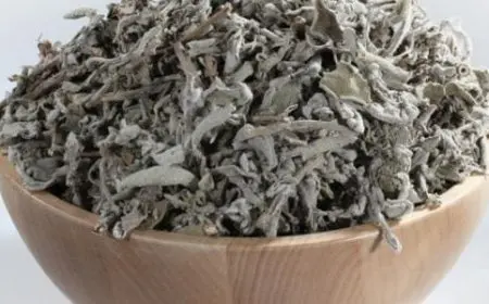 فوائد الميرمية للتنحيف قبل النوم