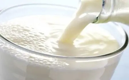 هل اللبن مسموح في الكيتو