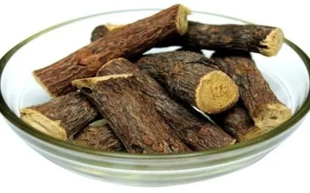 فوائد القسط الهندي للتنحيف