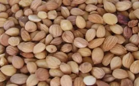 فوائد المحلب للشعر