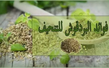 تجربتي مع البردقوش للتنحيف