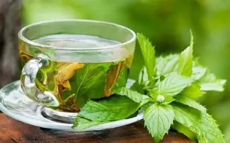 فوائد النعناع للتخسيس الكرش