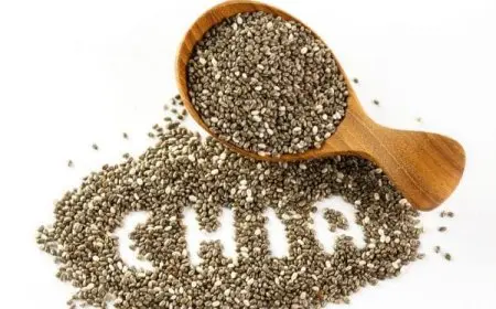 فوائد بذور الشيا للشعر