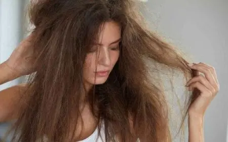 أفضل كريم للشعر الجاف من الصيدلية