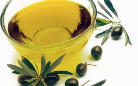 هل زيت الزيتون يطول الشعر