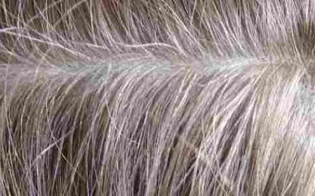 صبغات شعر طبيعية للشيب