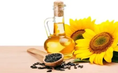 فوائد زيت دوار الشمس للشعر