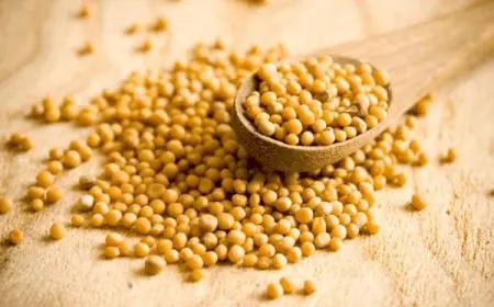 تجربتي منقوع الخردل للقدمين