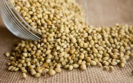 المحلب للشعر جابر القحطاني