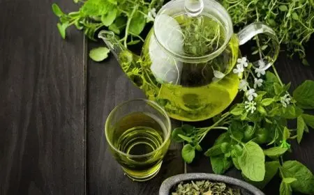 أفضل 7 مستحضرات ترتكز على الشاي الأخضر تزيد من نضارة البشرة 2024