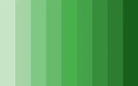 ما هي درجات اللون الزيتي في الملابس؟