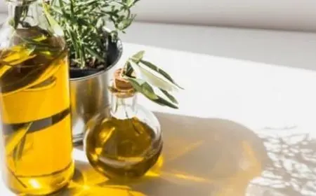 فوائد زيت الزيتون للشعر الجاف وأشهر 3 وصفات طبيعية لاستخدامه