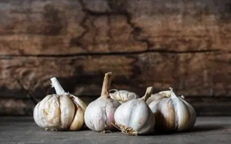 وصفات لتكثيف الحواجب بالثوم في أسرع وقت