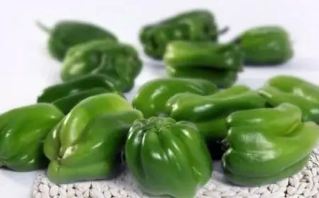 فوائد الفلفل الأخضر للشعر