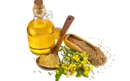 تجربتي مع زيت الحلبة للشعر