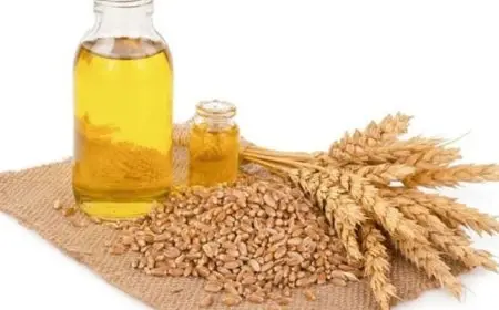 أضرار زيت جنين القمح للوجه