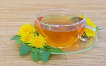 تجربتي مع الهندباء للحمل