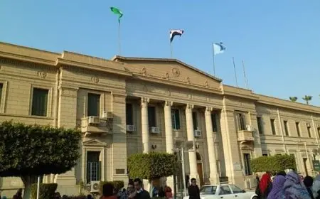 أقسام كلية التجارة جامعة القاهرة