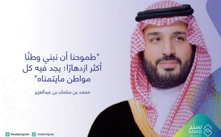 شروط سند محمد بن سلمان