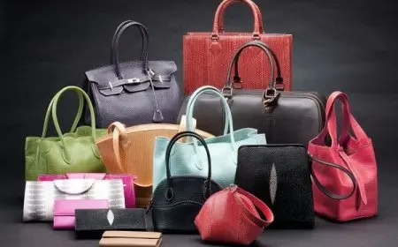 الحقيبة في المنام للحامل ونوع الجنين