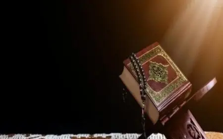 ما هي الظلمات الثلاث في سورة الزمر