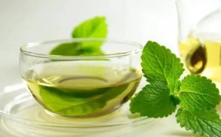 تجربتي مع الشاي الأخضر الصيني