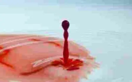 كيف اعرف اني كنت حامل واجهضت وقت الدورة