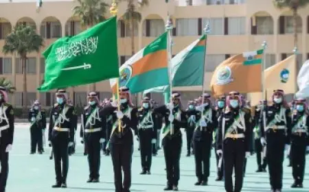 مراحل نمو الشجرة