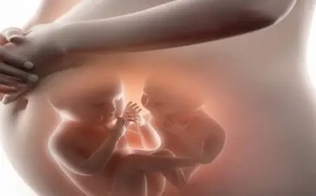 أحلام تدل على الحمل بتوأم