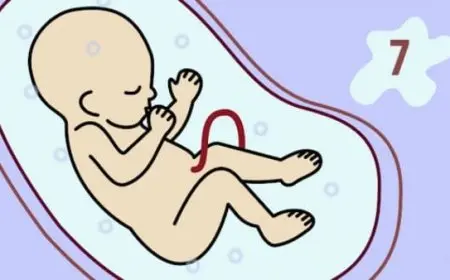 أعراض الحمل في الشهر السابع