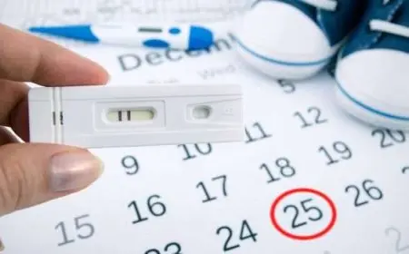 حساب موعد الدورة الشهرية والحمل