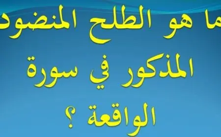 ما هو الطلح المنضود