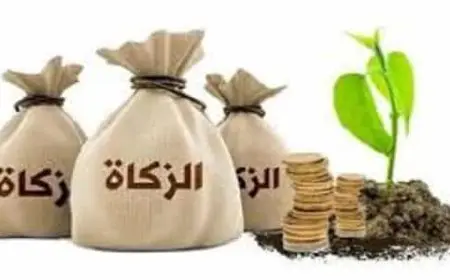 ما هو مقدار زكاة المال؟