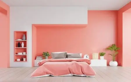 ألوان دهانات ريسبشن كشمير