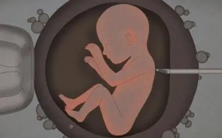 هل الزعل يسبب موت الجنين