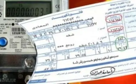 الاستعلام عن فاتورة الكهرباء عن طريق الهاتف