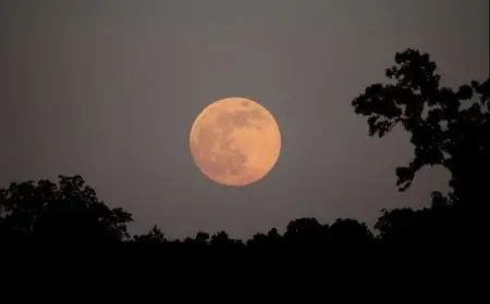 فوائد سورة القمر الروحانية