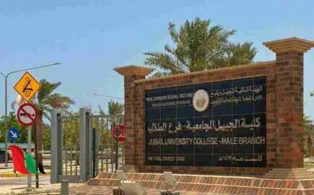 نسب قبول كلية الجبيل الجامعية