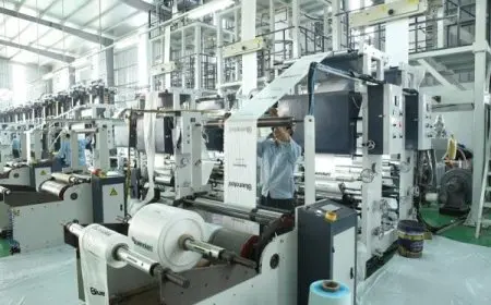 دراسة جدوى مصنع أكياس بلاستيك 2024